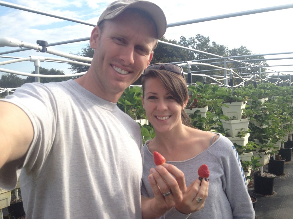 Enjoying the First Hydroponic Strawberries from the farm